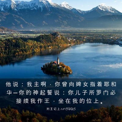 Picture 03 - 列 王 记 上 1:17 CUVS - 他 说 ： 我 主 啊 ， 你 曾 向 婢 女 - Bible Verse Picture