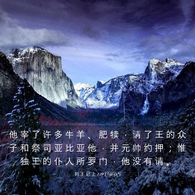 Picture 03 - 列 王 记 上 1:19 CUVS - 他 宰 了 许 多 牛 羊 、 肥 犊 ， 请 - Bible Verse Picture