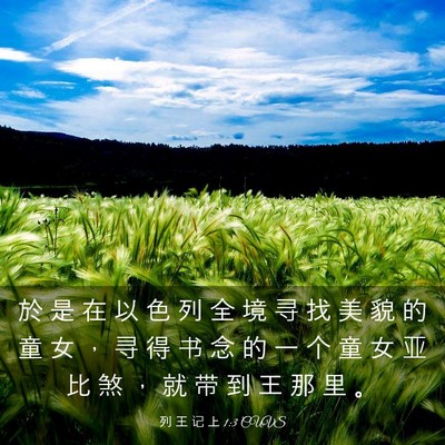Picture 03 - 列 王 记 上 1:3 CUVS - 於 是 在 以 色 列 全 境 寻 找 美 貌 - Bible Verse Picture