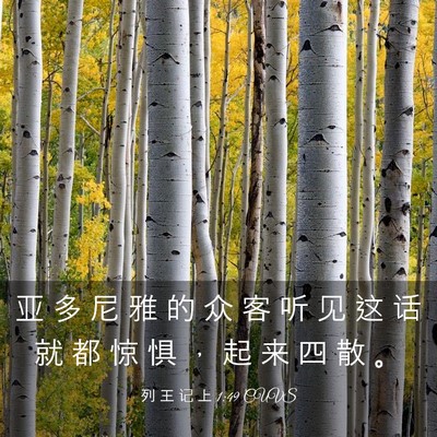 Picture 03 - 列 王 记 上 1:49 CUVS - 亚 多 尼 雅 的 众 客 听 见 这 话 就 - Bible Verse Picture