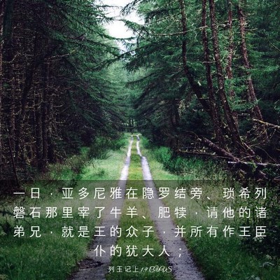 Picture 03 - 列 王 记 上 1:9 CUVS - 一 日 ， 亚 多 尼 雅 在 隐 罗 结 旁 - Bible Verse Picture