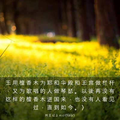 Picture 03 - 列 王 记 上 10:12 CUVS - 王 用 檀 香 木 为 耶 和 华 殿 和 王 - Bible Verse Picture