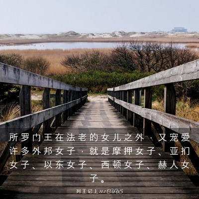 Picture 03 - 列 王 记 上 11:1 CUVS - 所 罗 门 王 在 法 老 的 女 儿 之 外 - Bible Verse Picture