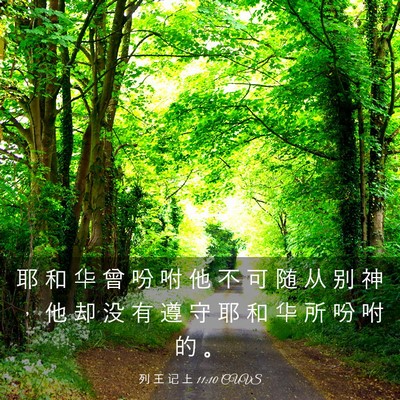Picture 03 - 列 王 记 上 11:10 CUVS - 耶 和 华 曾 吩 咐 他 不 可 随 从 别 - Bible Verse Picture