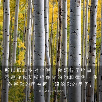 Picture 03 - 列 王 记 上 11:11 CUVS - 所 以 耶 和 华 对 他 说 ： 你 既 行 - Bible Verse Picture