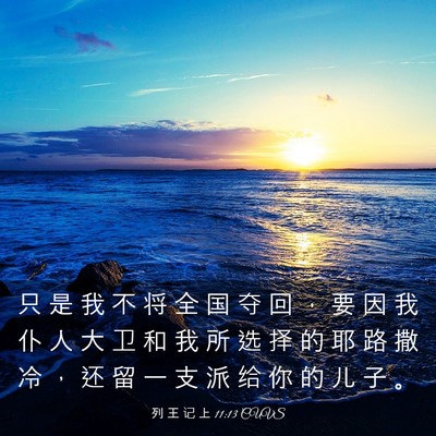 Picture 03 - 列 王 记 上 11:13 CUVS - 只 是 我 不 将 全 国 夺 回 ， 要 因 - Bible Verse Picture