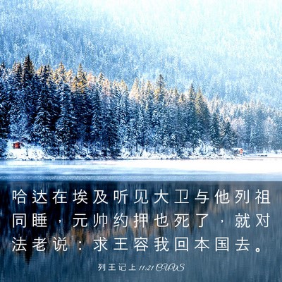 Picture 03 - 列 王 记 上 11:21 CUVS - 哈 达 在 埃 及 听 见 大 卫 与 他 列 - Bible Verse Picture