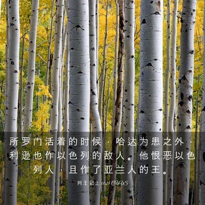 Picture 03 - 列 王 记 上 11:25 CUVS - 所 罗 门 活 着 的 时 候 ， 哈 达 为 - Bible Verse Picture
