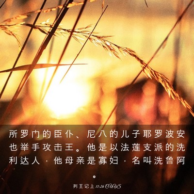 Picture 03 - 列 王 记 上 11:26 CUVS - 所 罗 门 的 臣 仆 、 尼 八 的 儿 子 - Bible Verse Picture