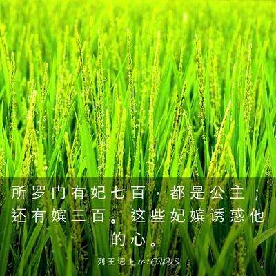 Picture 03 - 列 王 记 上 11:3 CUVS - 所 罗 门 有 妃 七 百 ， 都 是 公 主 - Bible Verse Picture
