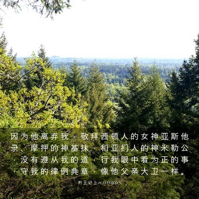 Picture 03 - 列 王 记 上 11:33 CUVS - 因 为 他 离 弃 我 ， 敬 拜 西 顿 人 - Bible Verse Picture