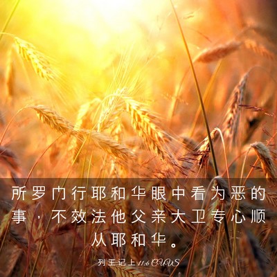 Picture 03 - 列 王 记 上 11:6 CUVS - 所 罗 门 行 耶 和 华 眼 中 看 为 恶 - Bible Verse Picture