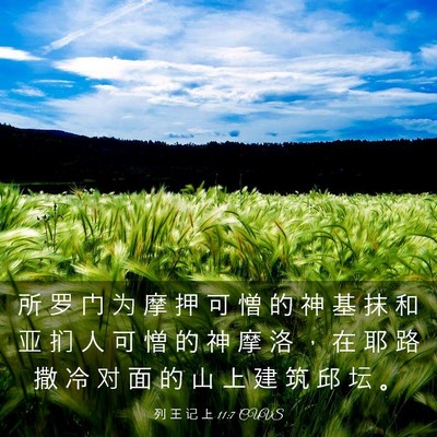 Picture 03 - 列 王 记 上 11:7 CUVS - 所 罗 门 为 摩 押 可 憎 的 神 基 抹 - Bible Verse Picture