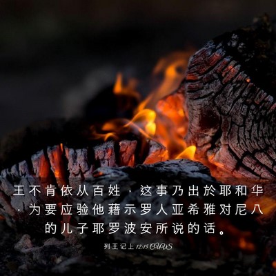 Picture 03 - 列 王 记 上 12:15 CUVS - 王 不 肯 依 从 百 姓 ， 这 事 乃 出 - Bible Verse Picture