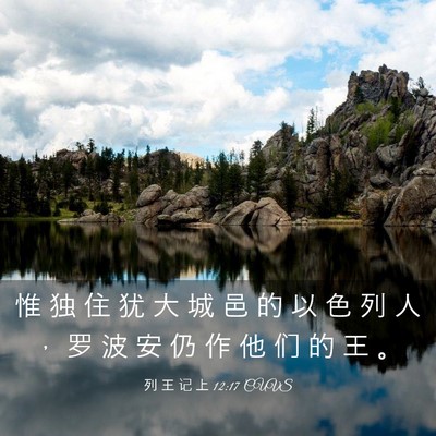 Picture 03 - 列 王 记 上 12:17 CUVS - 惟 独 住 犹 大 城 邑 的 以 色 列 人 - Bible Verse Picture
