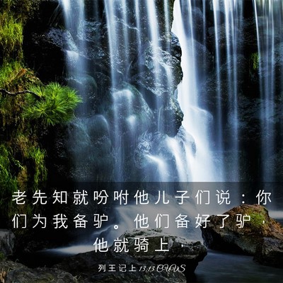 Picture 03 - 列 王 记 上 13:13 CUVS - 老 先 知 就 吩 咐 他 儿 子 们 说 ： - Bible Verse Picture