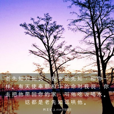 Picture 03 - 列 王 记 上 13:18 CUVS - 老 先 知 对 他 说 ： 我 也 是 先 知 - Bible Verse Picture
