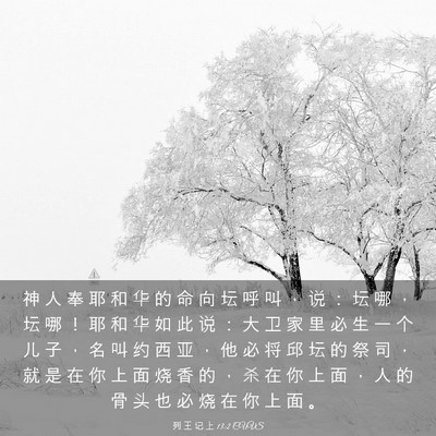 Picture 03 - 列 王 记 上 13:2 CUVS - 神 人 奉 耶 和 华 的 命 向 坛 呼 叫 - Bible Verse Picture