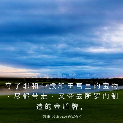 Picture 03 - 列 王 记 上 14:26 CUVS - 夺 了 耶 和 华 殿 和 王 宫 里 的 宝 - Bible Verse Picture