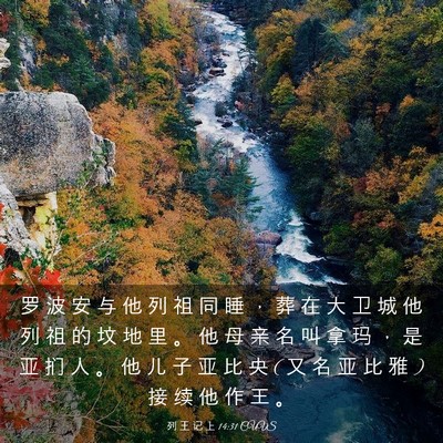 Picture 03 - 列 王 记 上 14:31 CUVS - 罗 波 安 与 他 列 祖 同 睡 ， 葬 在 - Bible Verse Picture