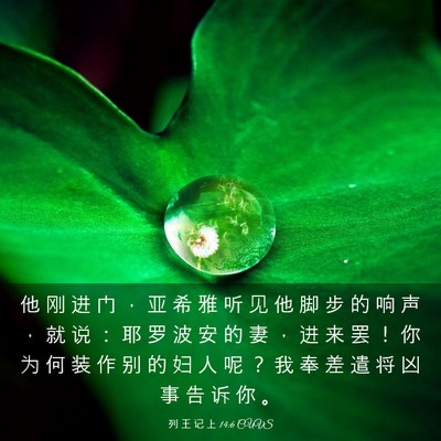 Picture 03 - 列 王 记 上 14:6 CUVS - 他 刚 进 门 ， 亚 希 雅 听 见 他 脚 - Bible Verse Picture