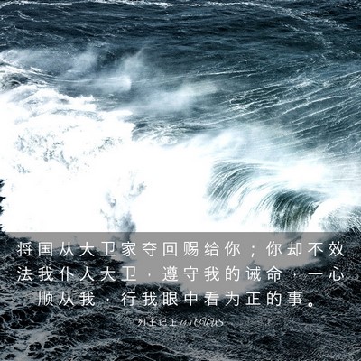 Picture 03 - 列 王 记 上 14:8 CUVS - 将 国 从 大 卫 家 夺 回 赐 给 你 ； - Bible Verse Picture