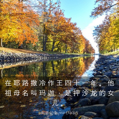 Picture 03 - 列 王 记 上 15:10 CUVS - 在 耶 路 撒 冷 作 王 四 十 一 年 。 - Bible Verse Picture