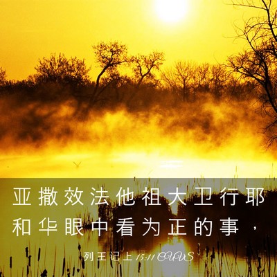 Picture 03 - 列 王 记 上 15:11 CUVS - 亚 撒 效 法 他 祖 大 卫 行 耶 和 华 - Bible Verse Picture