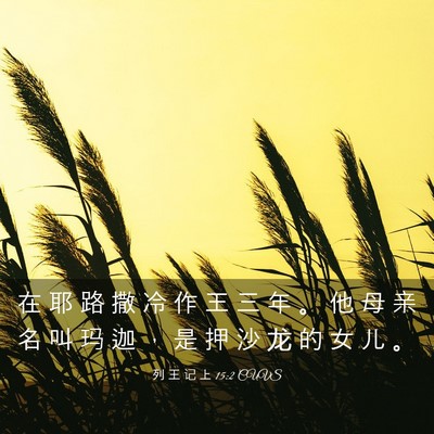 Picture 03 - 列 王 记 上 15:2 CUVS - 在 耶 路 撒 冷 作 王 三 年 。 他 母 - Bible Verse Picture