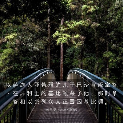 Picture 03 - 列 王 记 上 15:27 CUVS - 以 萨 迦 人 亚 希 雅 的 儿 子 巴 沙 - Bible Verse Picture