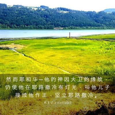 Picture 03 - 列 王 记 上 15:4 CUVS - 然 而 耶 和 华 ─ 他 的 神 因 大 卫 - Bible Verse Picture