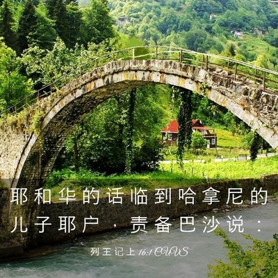 Picture 03 - 列 王 记 上 16:1 CUVS - 耶 和 华 的 话 临 到 哈 拿 尼 的 儿 - Bible Verse Picture