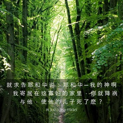 Picture 03 - 列 王 记 上 17:20 CUVS - 就 求 告 耶 和 华 说 ： 耶 和 华 ─ - Bible Verse Picture