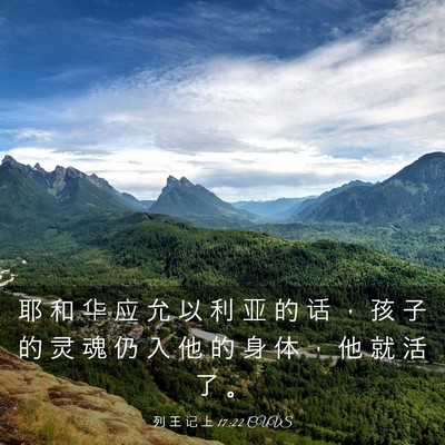 Picture 03 - 列 王 记 上 17:22 CUVS - 耶 和 华 应 允 以 利 亚 的 话 ， 孩 - Bible Verse Picture