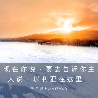 Picture 03 - 列 王 记 上 18:11 CUVS - 现 在 你 说 ， 要 去 告 诉 你 主 人 - Bible Verse Picture