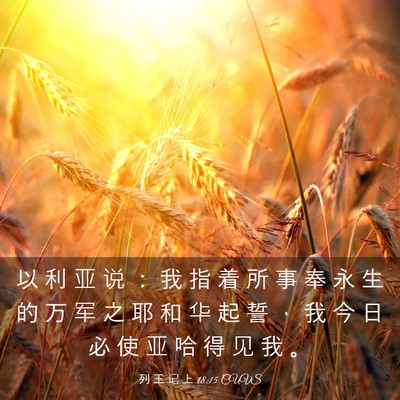 Picture 03 - 列 王 记 上 18:15 CUVS - 以 利 亚 说 ： 我 指 着 所 事 奉 永 - Bible Verse Picture