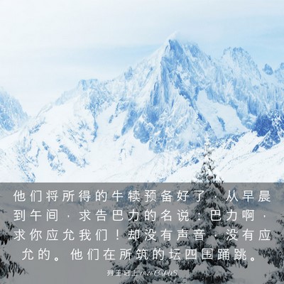 Picture 03 - 列 王 记 上 18:26 CUVS - 他 们 将 所 得 的 牛 犊 预 备 好 了 - Bible Verse Picture