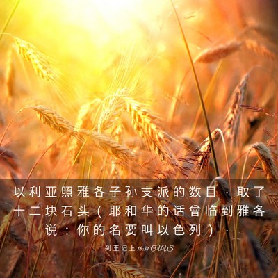 Picture 03 - 列 王 记 上 18:31 CUVS - 以 利 亚 照 雅 各 子 孙 支 派 的 数 - Bible Verse Picture