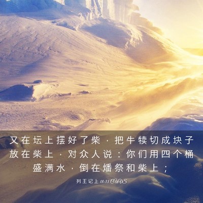 Picture 03 - 列 王 记 上 18:33 CUVS - 又 在 坛 上 摆 好 了 柴 ， 把 牛 犊 - Bible Verse Picture
