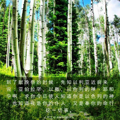 Picture 03 - 列 王 记 上 18:36 CUVS - 到 了 献 晚 祭 的 时 候 ， 先 知 以 - Bible Verse Picture