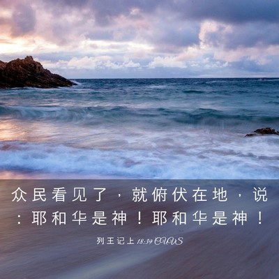 Picture 03 - 列 王 记 上 18:39 CUVS - 众 民 看 见 了 ， 就 俯 伏 在 地 ， - Bible Verse Picture