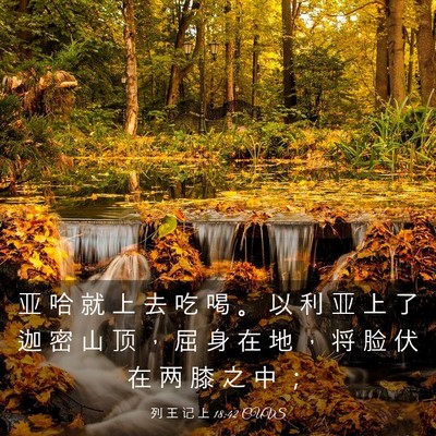 Picture 03 - 列 王 记 上 18:42 CUVS - 亚 哈 就 上 去 吃 喝 。 以 利 亚 上 - Bible Verse Picture