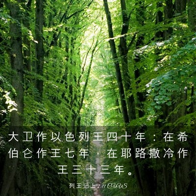 Picture 03 - 列 王 记 上 2:11 CUVS - 大 卫 作 以 色 列 王 四 十 年 ： 在 - Bible Verse Picture