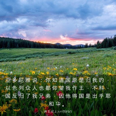 Picture 03 - 列 王 记 上 2:15 CUVS - 亚 多 尼 雅 说 ： 你 知 道 国 原 是 - Bible Verse Picture