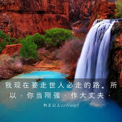 Picture 03 - 列 王 记 上 2:2 CUVS - 我 现 在 要 走 世 人 必 走 的 路 。 - Bible Verse Picture