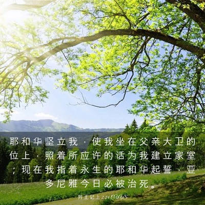 Picture 03 - 列 王 记 上 2:24 CUVS - 耶 和 华 坚 立 我 ， 使 我 坐 在 父 - Bible Verse Picture