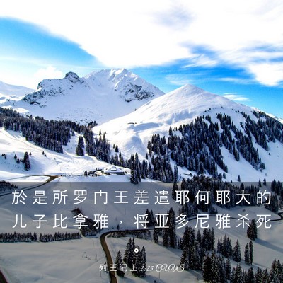 Picture 03 - 列 王 记 上 2:25 CUVS - 於 是 所 罗 门 王 差 遣 耶 何 耶 大 - Bible Verse Picture
