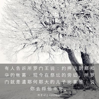 Picture 03 - 列 王 记 上 2:29 CUVS - 有 人 告 诉 所 罗 门 王 说 ： 约 押 - Bible Verse Picture