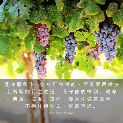 Picture 03 - 列 王 记 上 2:3 CUVS - 遵 守 耶 和 华 ─ 你 神 所 吩 咐 的 - Bible Verse Picture