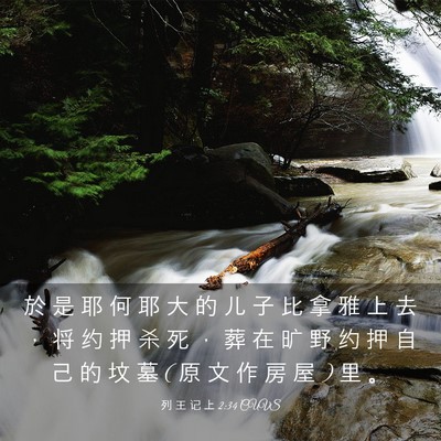 Picture 03 - 列 王 记 上 2:34 CUVS - 於 是 耶 何 耶 大 的 儿 子 比 拿 雅 - Bible Verse Picture